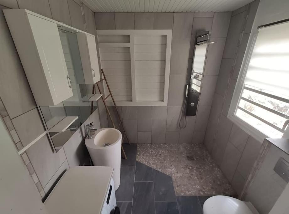 Appartement F3 Ventile Le Robert Exterior photo